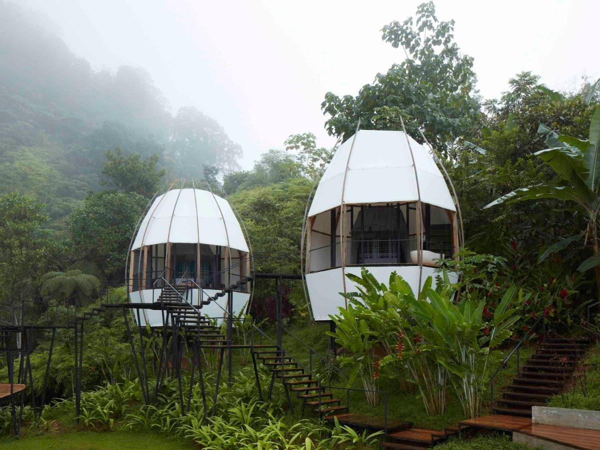 Art Villas Costa Rica, Villas & Glamping Uvita Eksteriør bilde