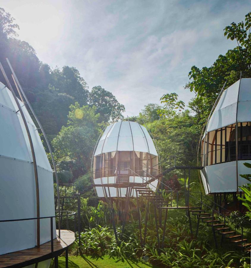 Art Villas Costa Rica, Villas & Glamping Uvita Eksteriør bilde